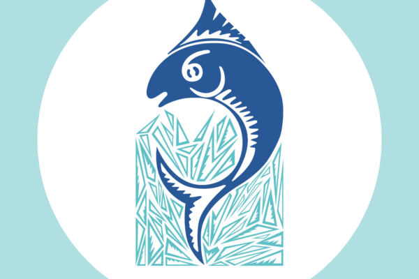 Newsletter – 17 July 2026